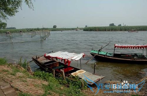 周末出游白洋淀攻略