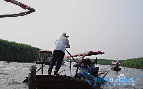 周末出游白洋淀攻略