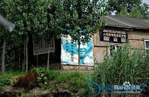 周末出游白洋淀攻略