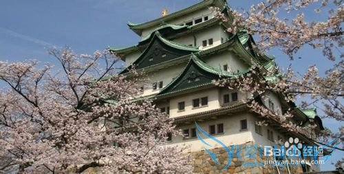 游玩名古屋攻略