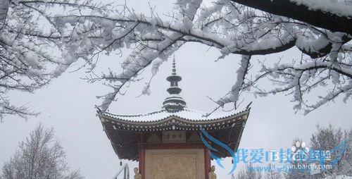 游玩名古屋攻略