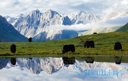 大美青海 雪域果洛