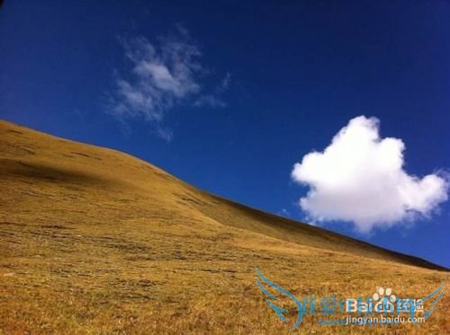 大美青海 雪域果洛