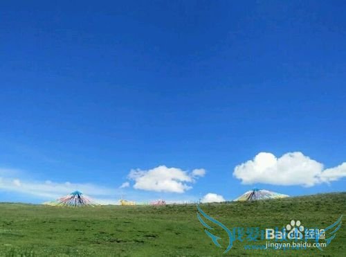 大美青海 雪域果洛