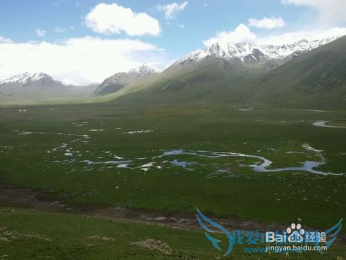 大美青海 雪域果洛