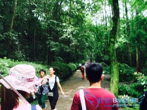 杭州旅游五步走战略