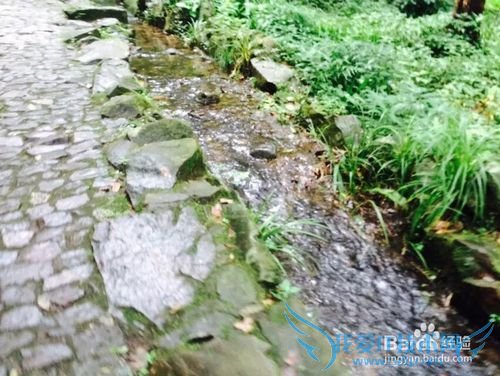 杭州旅游五步走战略