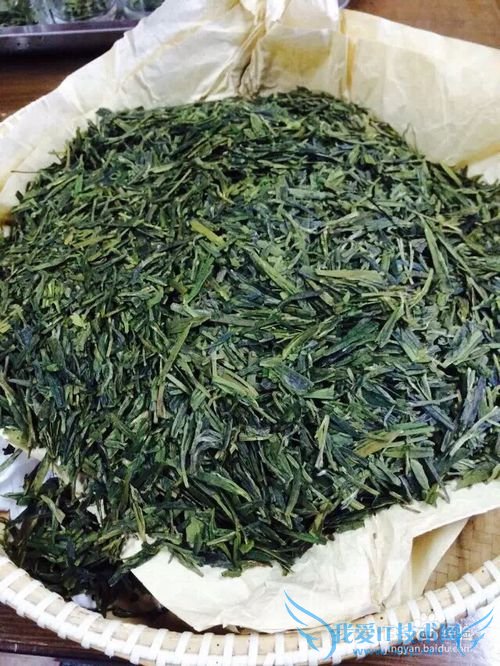 杭州旅游五步走战略