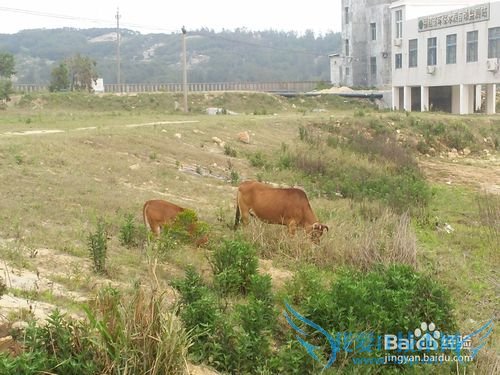 千礁岛县平潭岛旅游指南