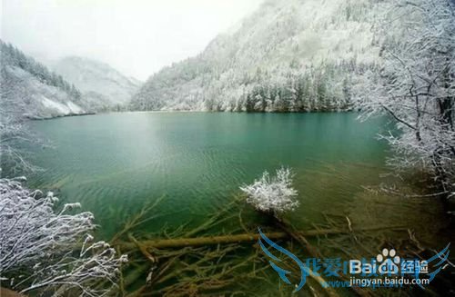 九寨沟黄龙包车自助游旅游