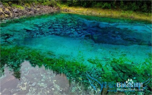 诚品旅游教你样游6到8月九寨沟黄龙穿什么衣服