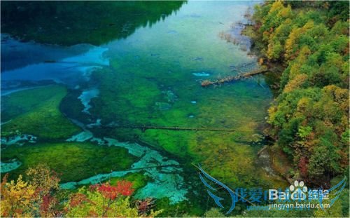 诚品旅游教你样游6到8月九寨沟黄龙穿什么衣服