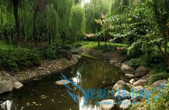 春天南京有哪些公园免费