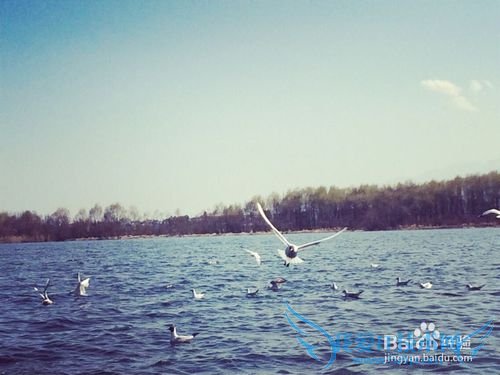 昆明-大理-丽江-版纳旅游经验