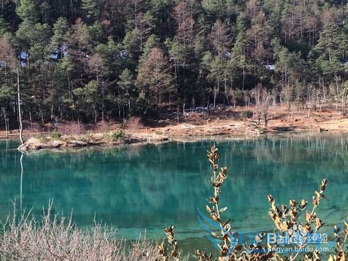 昆明-大理-丽江-版纳旅游经验