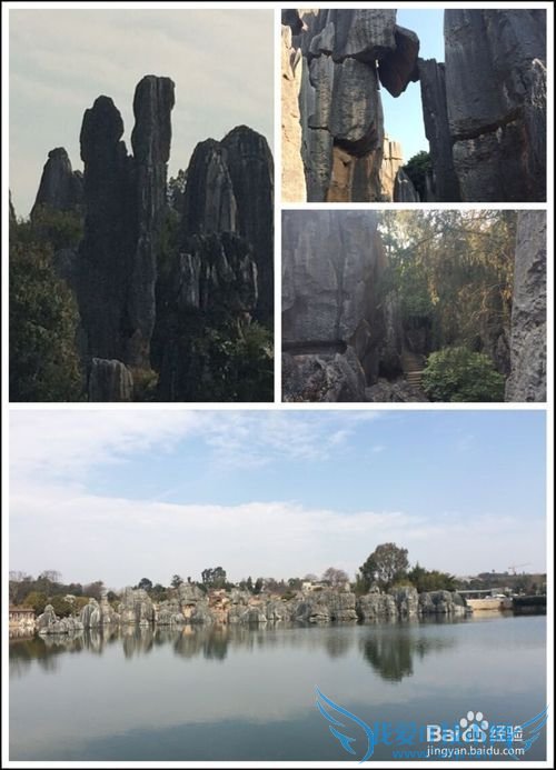 昆明-大理-丽江-版纳旅游经验