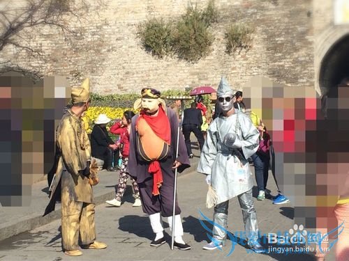 昆明-大理-丽江-版纳旅游经验