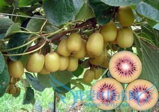 重庆笋山自助旅游攻略