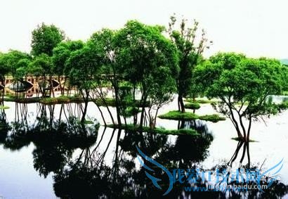 濮阳有什么好玩的地方?濮阳旅游攻略