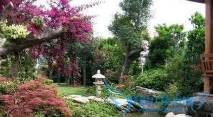 濮阳有什么好玩的地方?濮阳旅游攻略