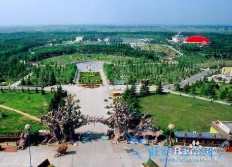 濮阳有什么好玩的地方?濮阳旅游攻略