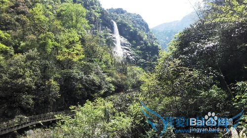 明月山旅游攻略&云谷风瀑