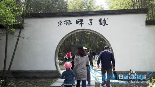 明月山旅游攻略&云谷风瀑