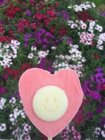 南充出发6天如何玩转厦门、深圳的旅游计划