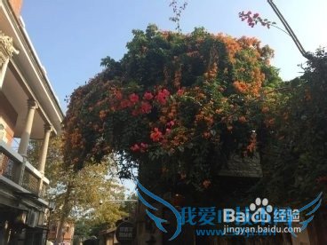 南充出发6天如何玩转厦门、深圳的旅游计划