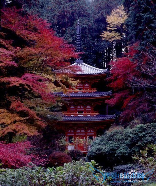 日本旅游怎么才算没白去?