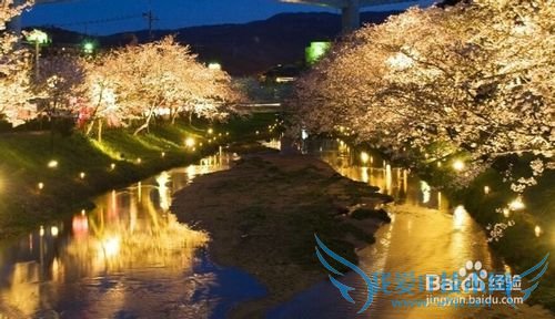 日本旅游怎么才算没白去?