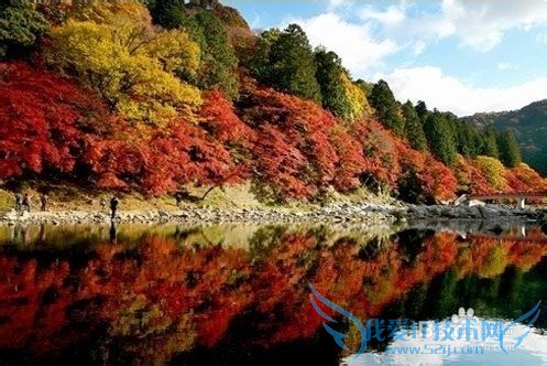 日本旅游怎么才算没白去?