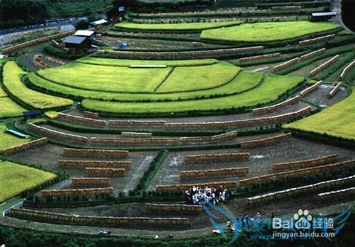 日本旅游怎么才算没白去?