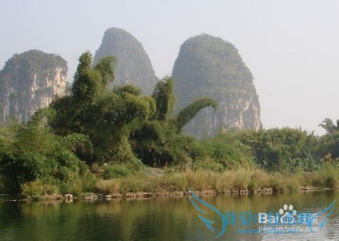 国内春季旅游去哪