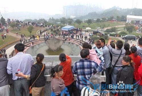 十一小长假旅游景点,你所不知道的真相!