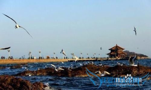 十一小长假旅游景点,你所不知道的真相!