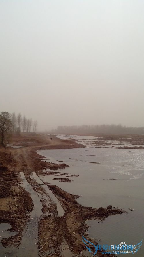 洛阳龙门石窟毕业旅游攻略