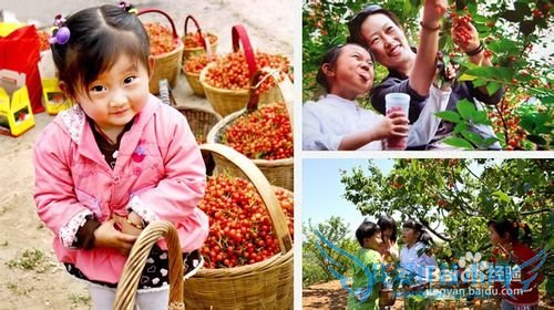 崂山休闲旅游季游玩攻略