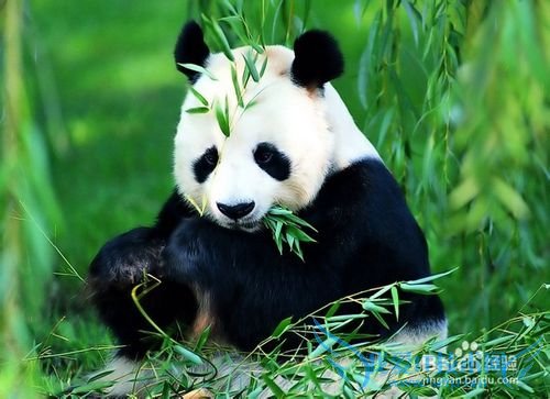 2013暑假去哪玩,暑假带孩子去旅游