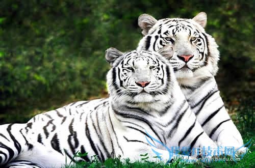 2013暑假去哪玩,暑假带孩子去旅游