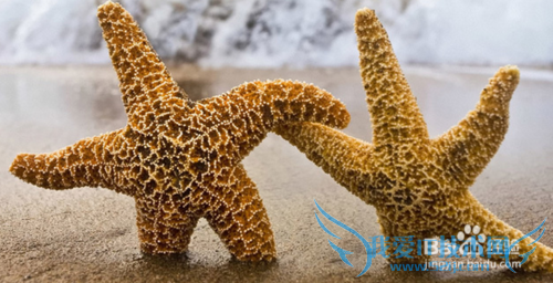 鼓浪屿旅游攻略