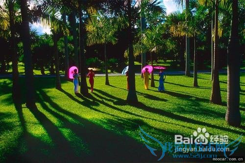 12月云南旅游线路推荐