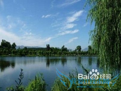 ?盘点北京最适合放风筝的旅游地