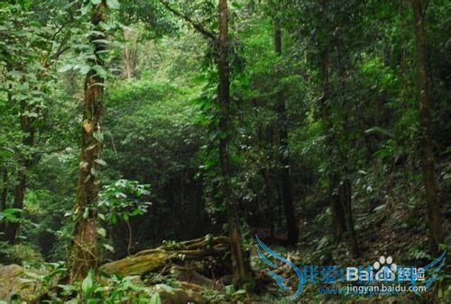 ÔÆÄÏÈðÀöÂÃÓξ°µã