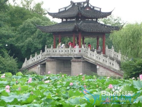 到杭州旅游,这些地方你去过吗?