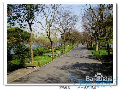 到杭州旅游,这些地方你去过吗?