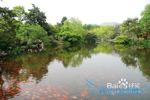 到杭州旅游,这些地方你去过吗?