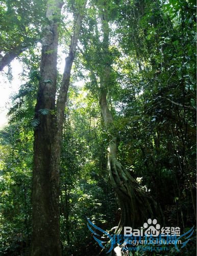 12月云南旅游目的地推荐