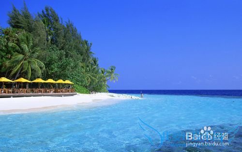 出国旅游前需要做哪些准备工作