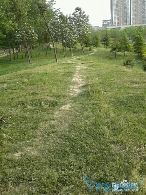 睢县有什么好玩的地方